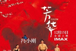 芳华2017在线观看,青春岁月的华彩篇章