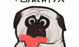 认真吃瓜网红是谁啊图片,网络红人的魅力与影响力